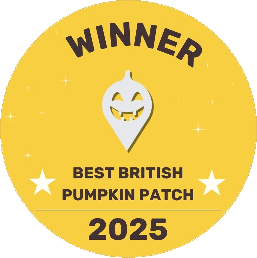 Pumpkin Patch Winner